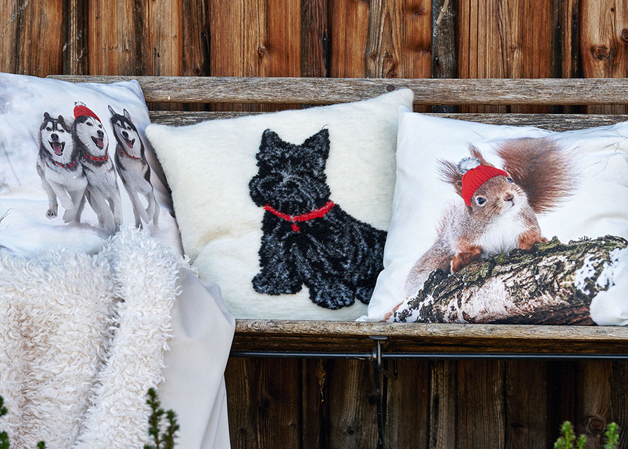 web_Apelt-Missouri-20-3701-88-Timmy-80-3702-88-Montana-30